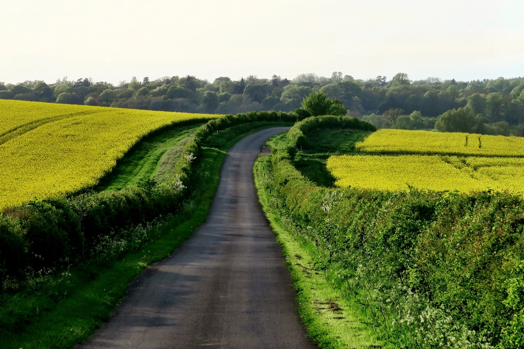 Slow travel through quiet countryside